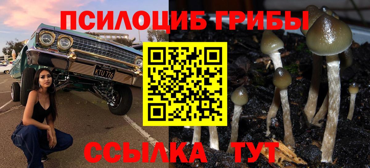 наркота  Псилоцибиновые грибы Magic Shrooms  Вход с VPN  Сердобск 