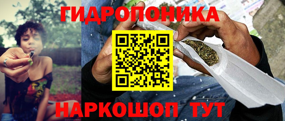 Бошки марихуана тримм  Вход с VPN  Конопля OG Kush  Сердобск  Конопля план 